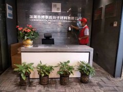 深圳市博泰高分子材料有限公司除甲醛